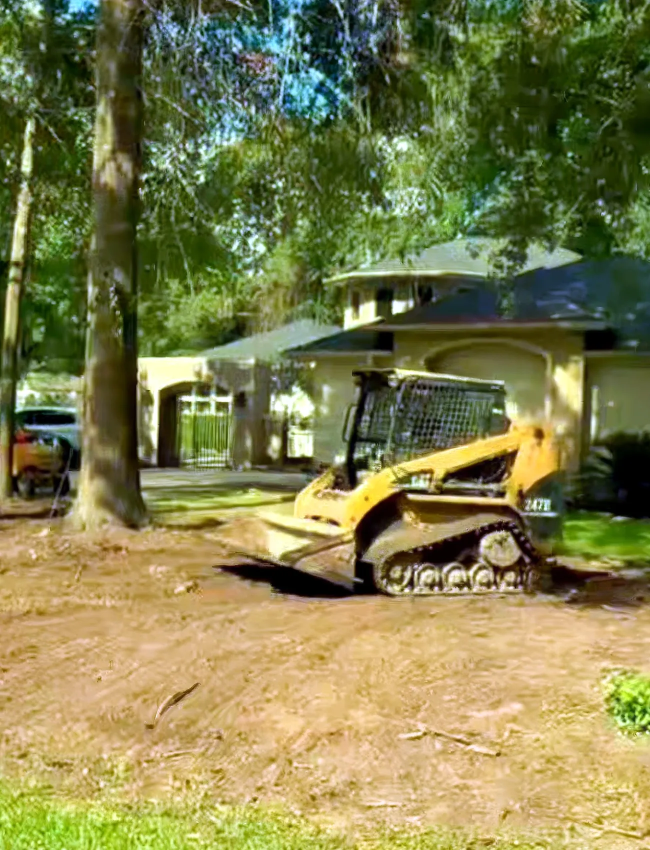 Stump Grinding in Houston, TX